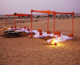 honeymoon in Thar Desert